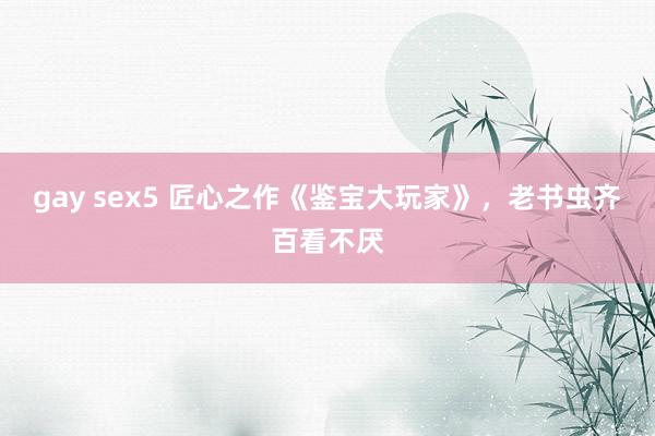 gay sex5 匠心之作《鉴宝大玩家》，老书虫齐百看不厌