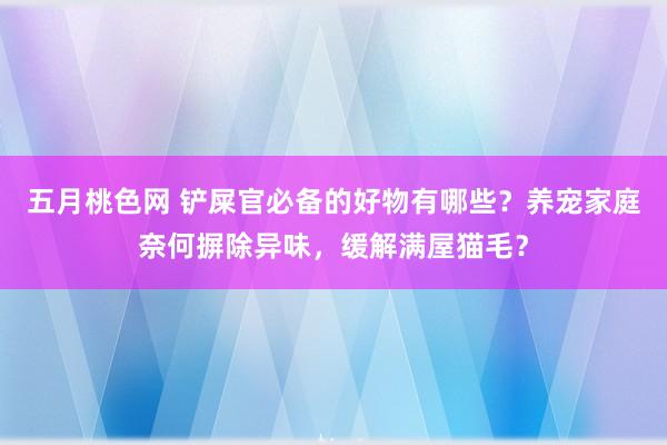 五月桃色网 铲屎官必备的好物有哪些？养宠家庭奈何摒除异味，缓解满屋猫毛？