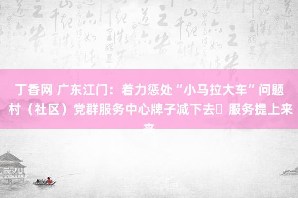 丁香网 广东江门：着力惩处“小马拉大车”问题 村（社区）党群服务中心牌子减下去 服务提上来