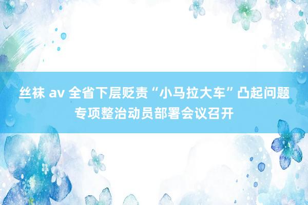 丝袜 av 全省下层贬责“小马拉大车”凸起问题专项整治动员部署会议召开