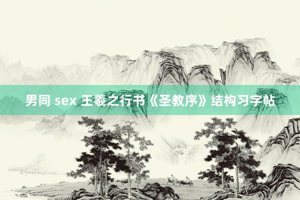 男同 sex 王羲之行书《圣教序》结构习字帖