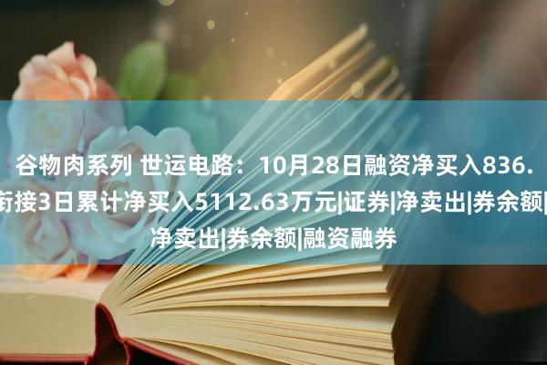 谷物肉系列 世运电路：10月28日融资净买入836.7万元，衔接3日累计净买入5112.63万元|证券|净卖出|券余额|融资融券