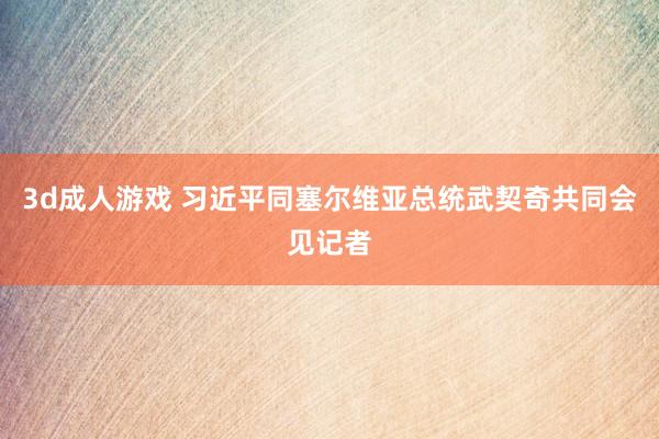 3d成人游戏 习近平同塞尔维亚总统武契奇共同会见记者