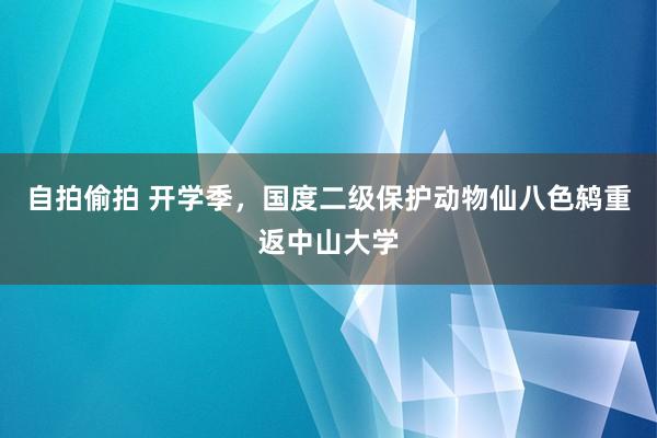 自拍偷拍 开学季，国度二级保护动物仙八色鸫重返中山大学