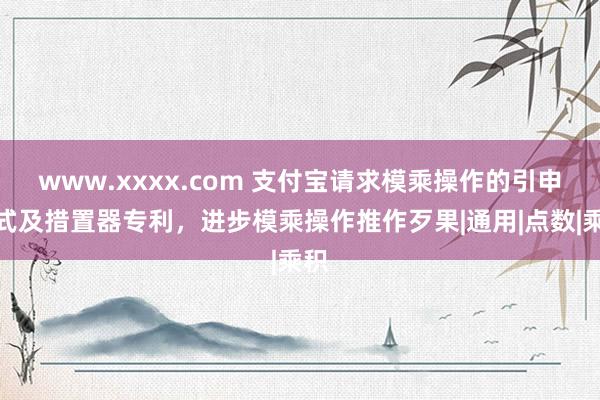 www.xxxx.com 支付宝请求模乘操作的引申样式及措置器专利，进步模乘操作推作歹果|通用|点数|乘积