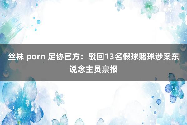 丝袜 porn 足协官方：驳回13名假球赌球涉案东说念主员禀报