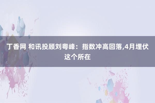 丁香网 和讯投顾刘粤峰：指数冲高回落,4月埋伏这个所在